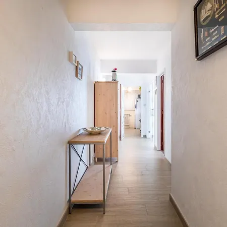 Neva Cinq Коксейде